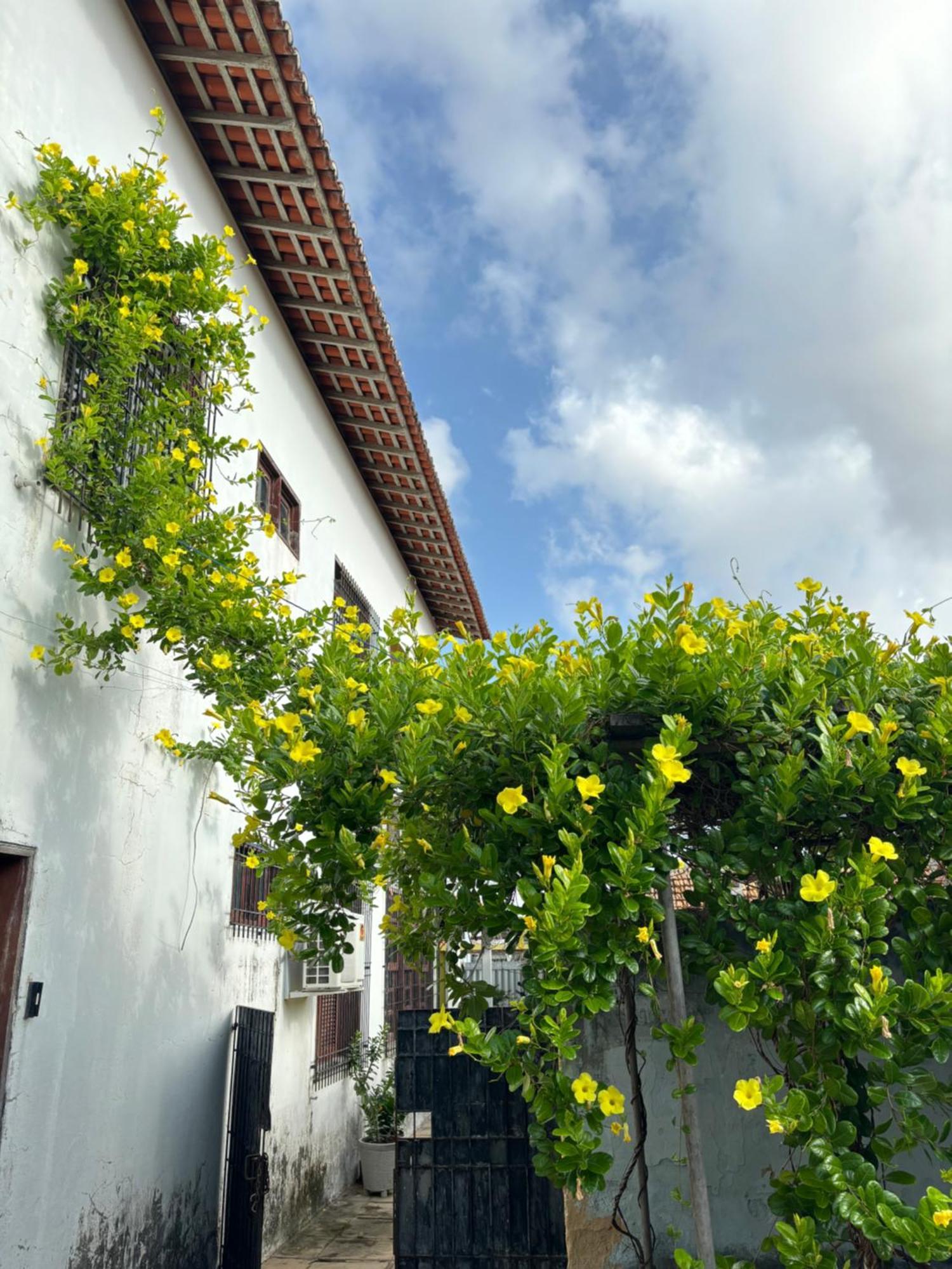 Parnaiba Hostel Bagian luar foto